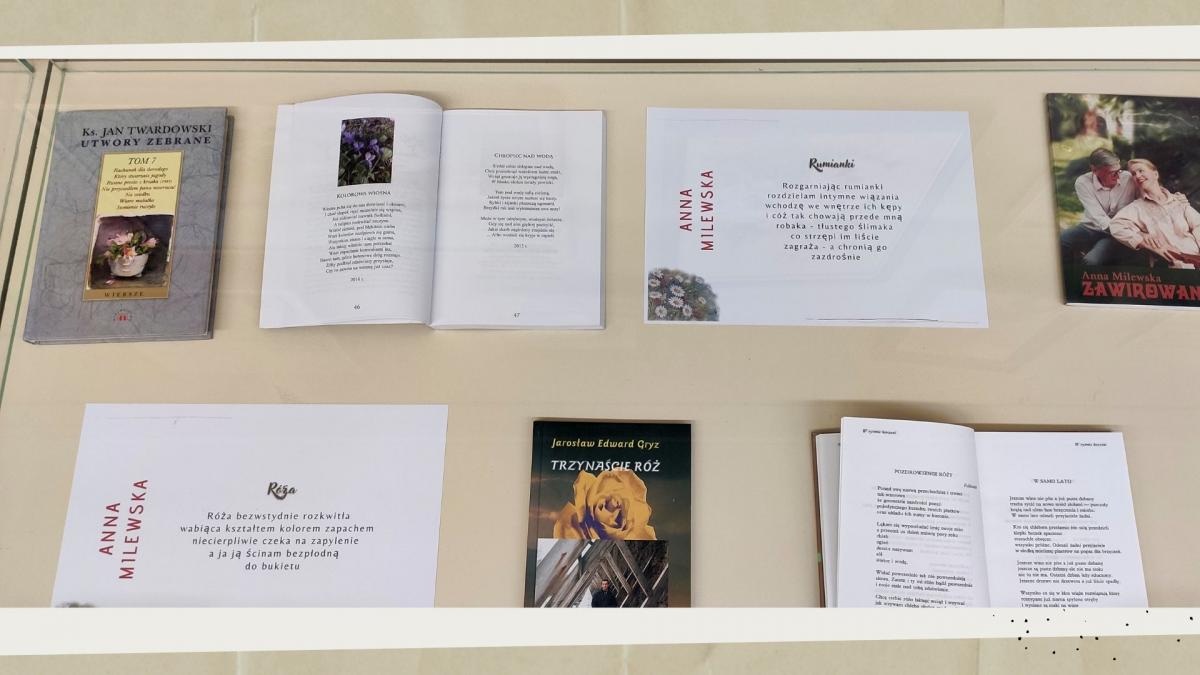 Zdjęcie kolorowe, fragment wystawy prac plastycznych Stefanii Wójcik w Bibliotece