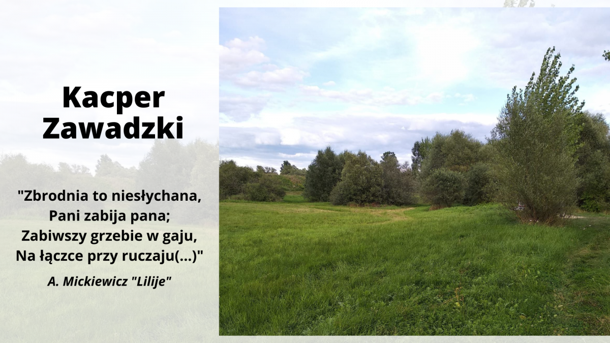 Zdjęcie kolorowe, łąka, zdjęcie z konkursu Ballada. To lubię! z okazji Narodowego Czytania