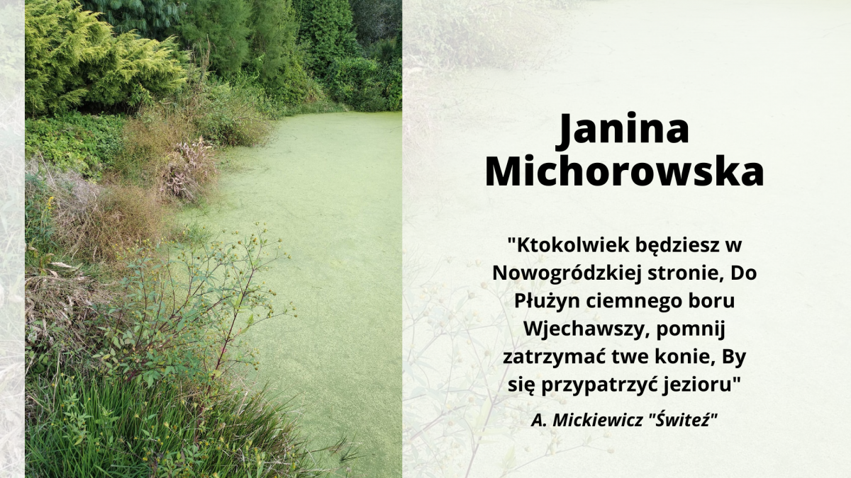 Zdjęcie kolorowe, fragment brzegu stawu z rzęsą wodną, zdjęcie z konkursu Ballada. To lubię! z okazji Narodowego Czytania